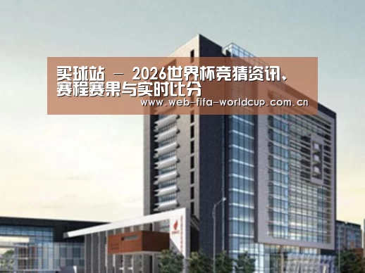 买球站案例展示四
