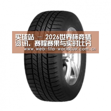 买球站产品名称八